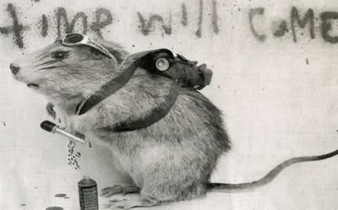 banksy-dead-rat.jpg