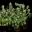 growingmarijuanaperfectly.com