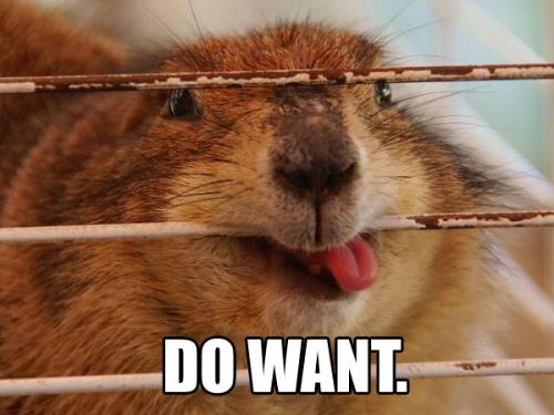 do-want-beaver.thumbnail.jpg
