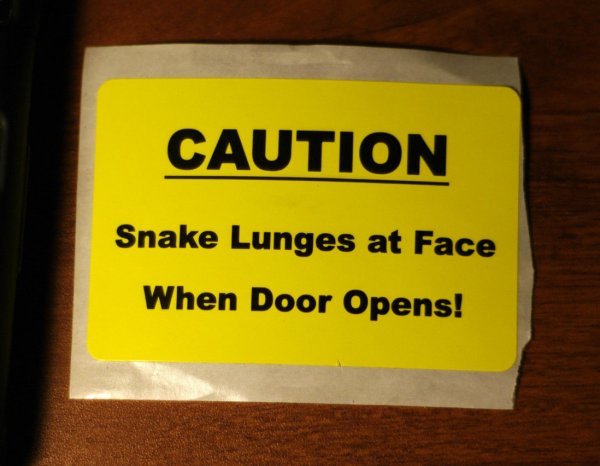 snake-sticker.jpg