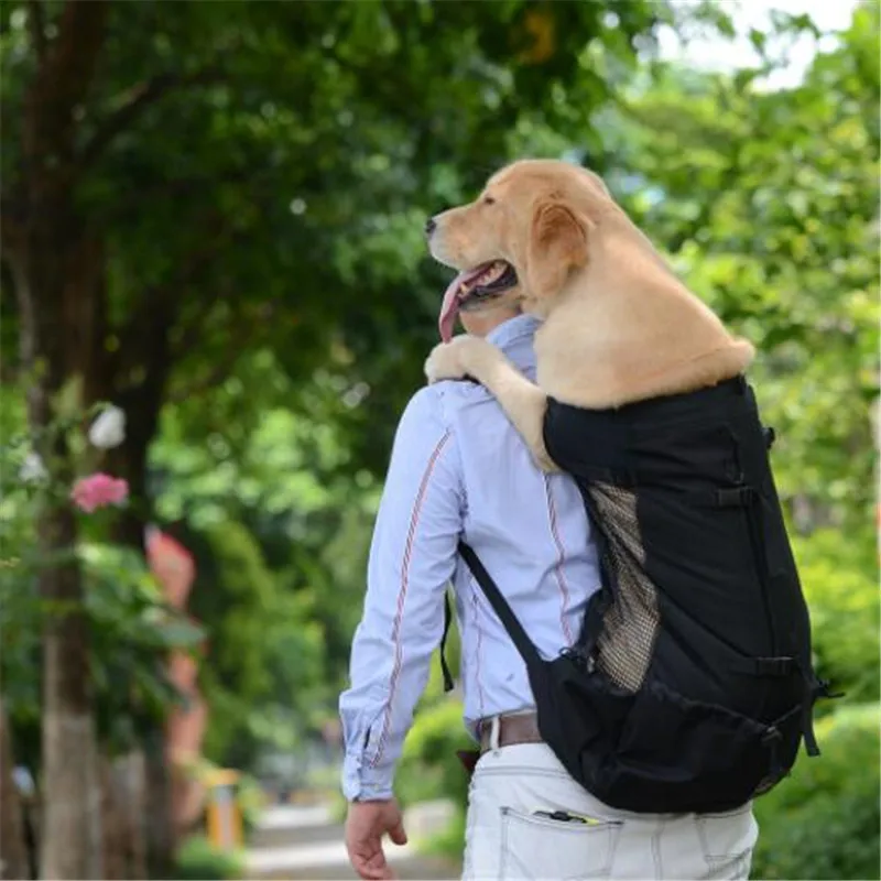 Pet-Carrier-Bag-For-Large-Dog-French-Bulldog-Labrador-Golden-Retriever-Dog-backpack-Pet-Travel-Transport.jpg
