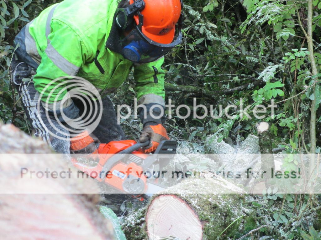 arboristGOAT056.jpg