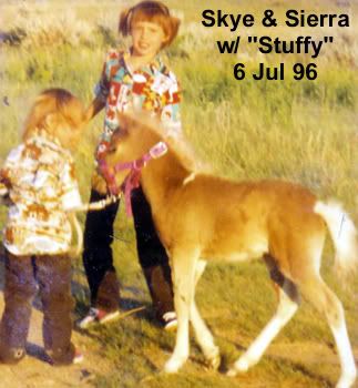 Stuffy96Jul6SierraSkye.jpg