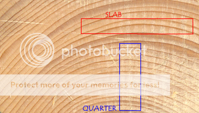 Softwood_endgrain_marked.png