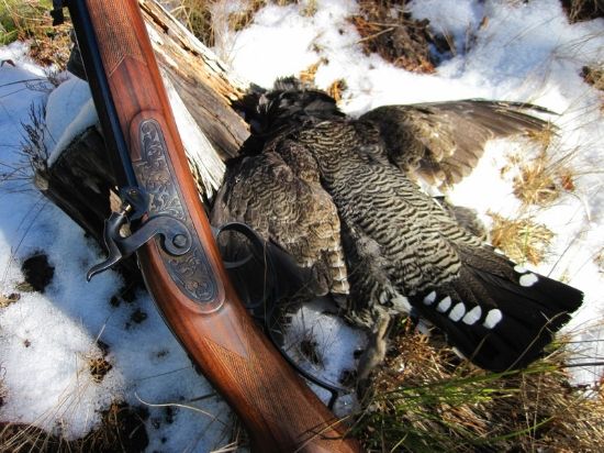 .5820Cal20Grouse20Lunch20and20a20Hare20057.jpg