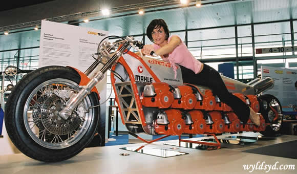 dolmette_chinsaw_bike_2.jpg