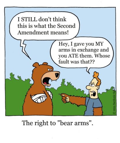 the_right_to_bear_arms_1244075.jpg