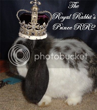 TheRoyalRabbitsPrinceRR2withcrown_zps3f1137d0.jpg