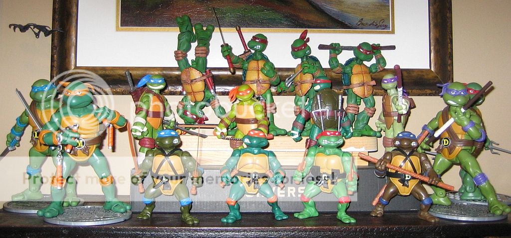 TurtleDisplay2_zps9c3b8c0a.jpg