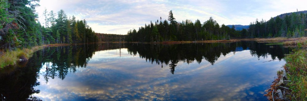 the_pond_at_twilight_reflections.JPG