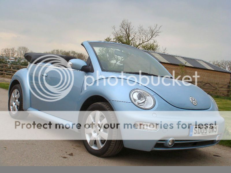 sd05_beetle_4.jpg