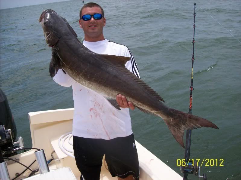 cobia6-17-12003.jpg