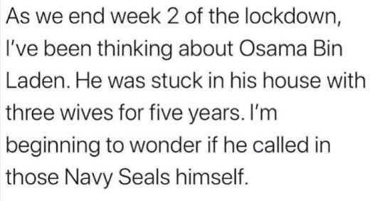 week-2-of-lockdown-thinking-about-osama-bin-laden-stuck-in-house-with-3-winves-5-years-may-have-called-navy-seals-himself.jpg