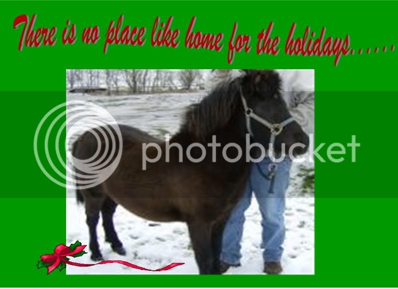 xmashorse5.jpg