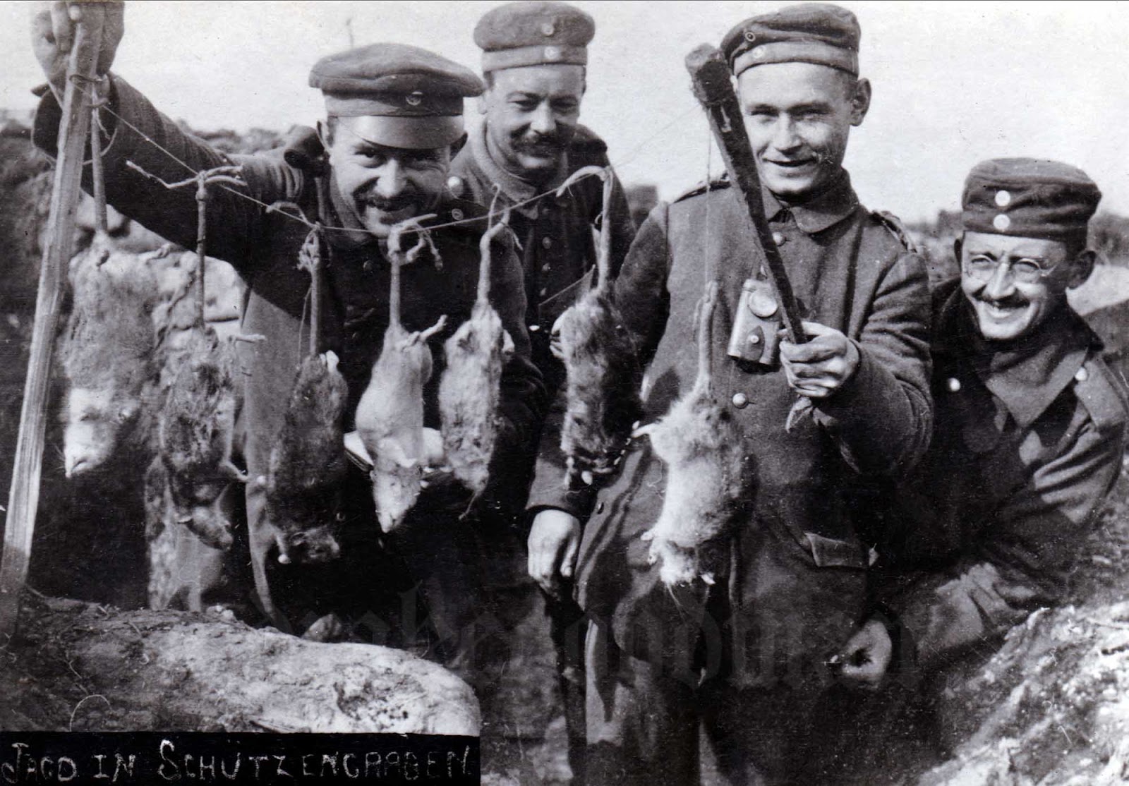 trench_rats_1.jpg