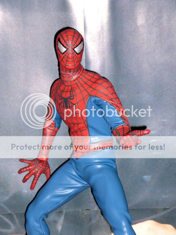 spidey1.jpg