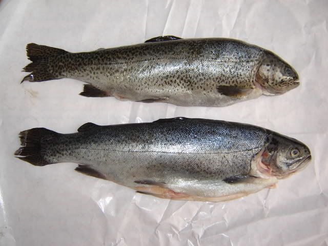 TwoTrout.jpg