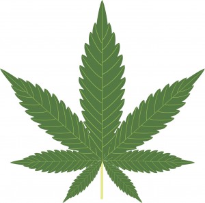marijuana-300x297.jpg