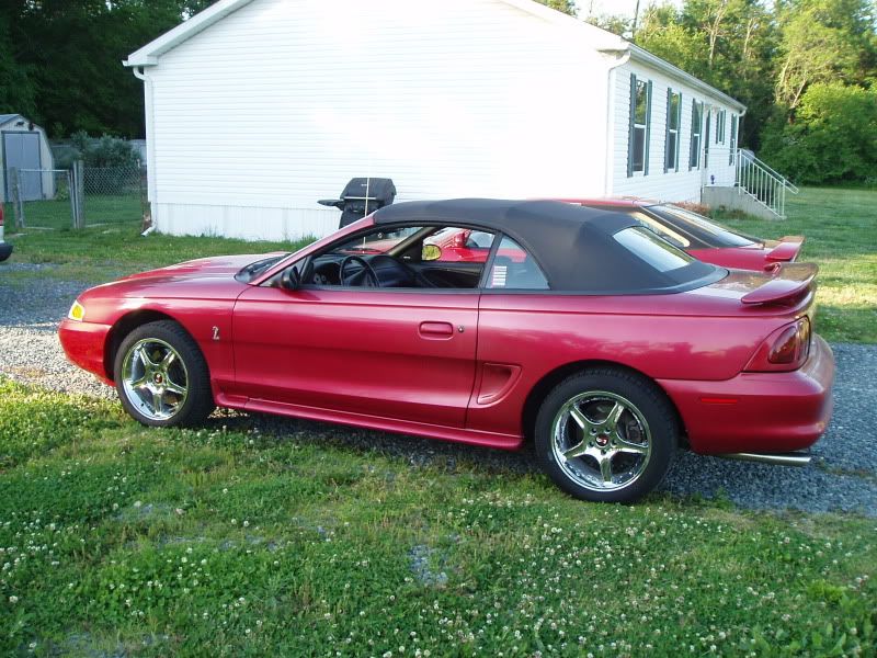 1996MustangCobra005.jpg