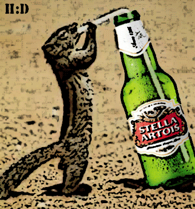 squirrel_drinking_stella-artois-1-herman_zpsd0e0bb58.gif