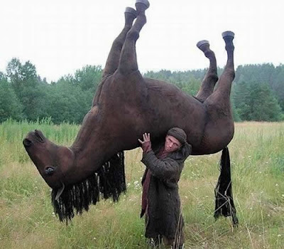 horsecarry.jpg