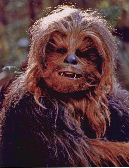 chewbacca1.jpg