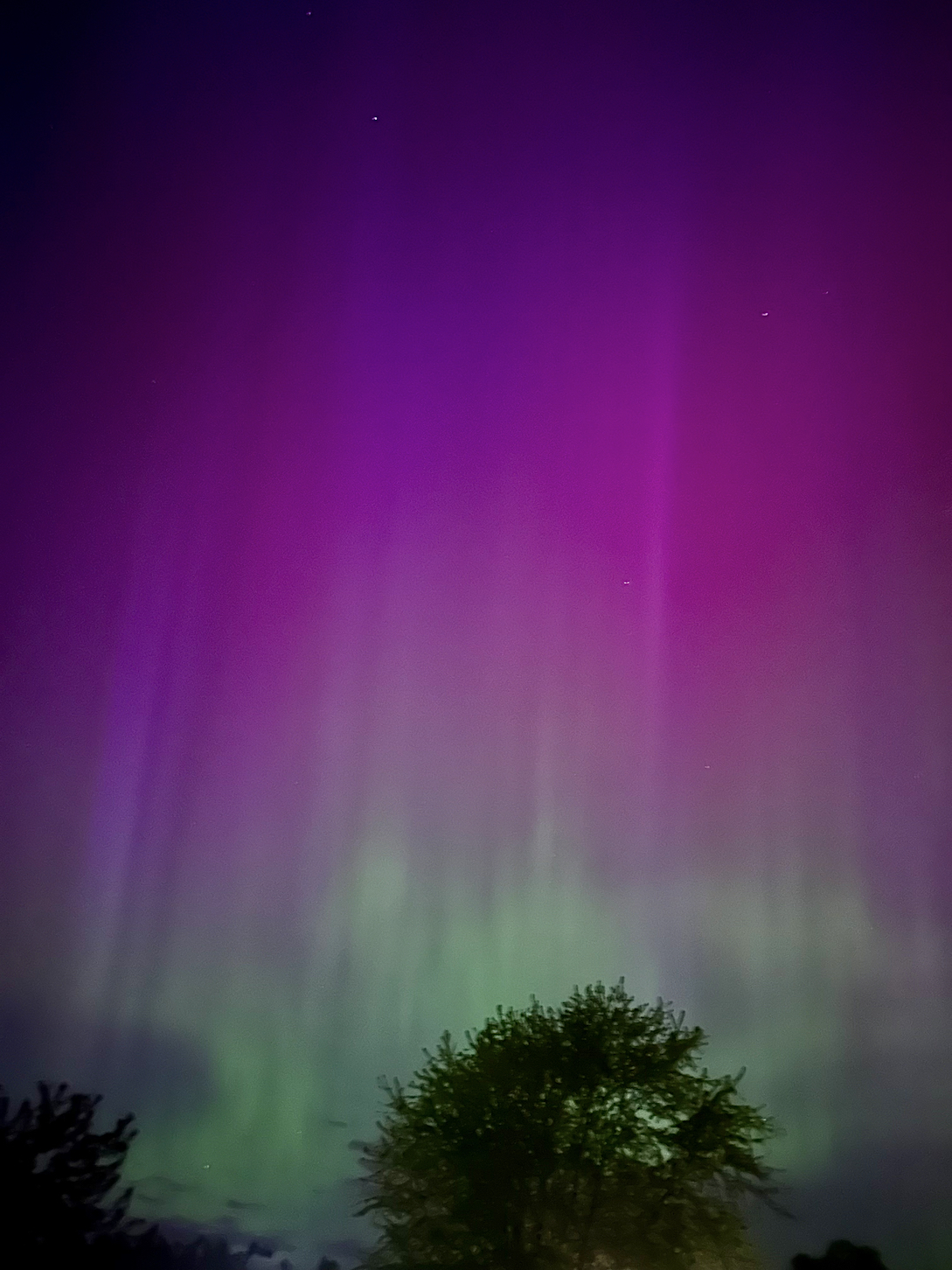 c-Roch-Auroras-3.jpg