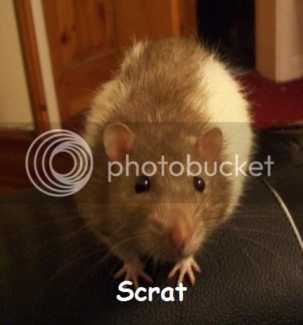 Scrat.jpg