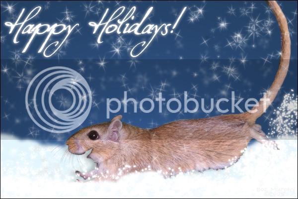 2008_11_20HappyHolidays1Gerbils1.png