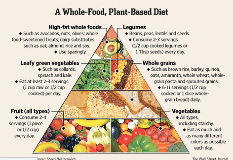 wfpb-food-pyramid.png