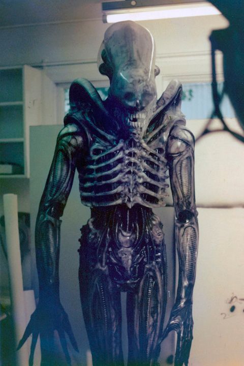 Alien20costume1.jpg