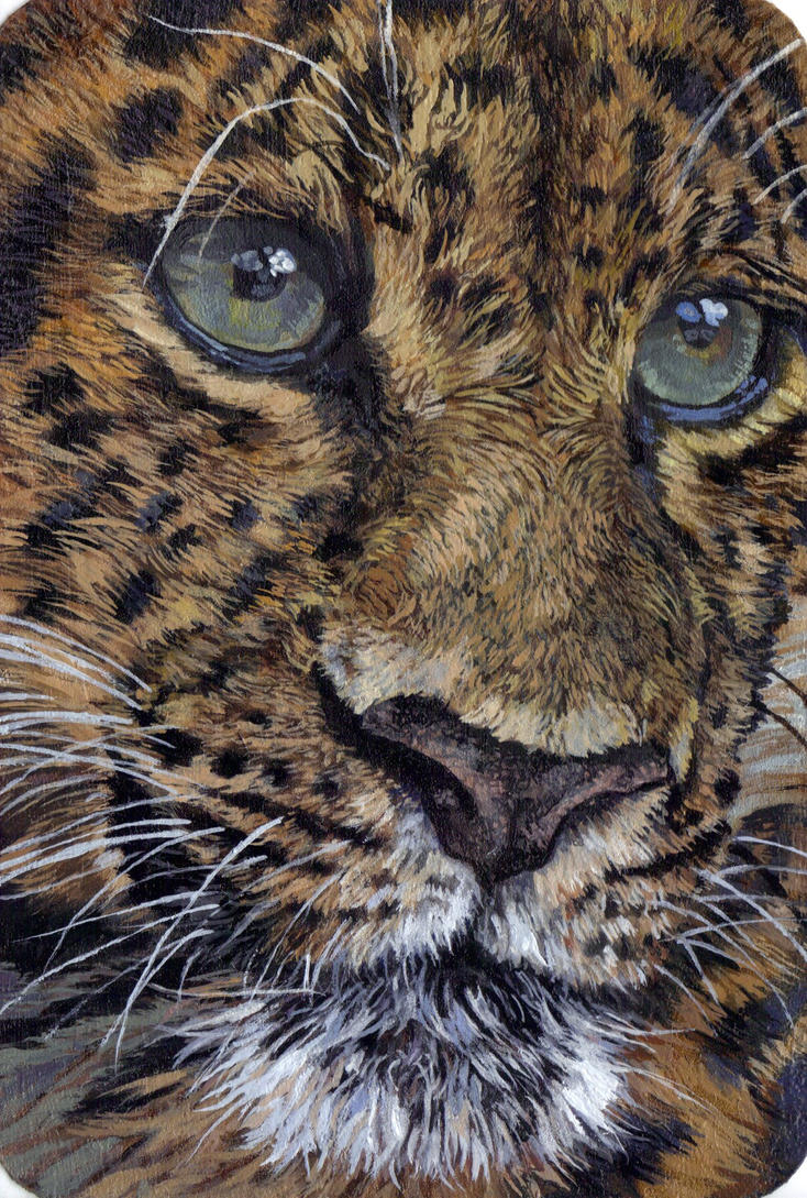 leopard_postcard_portrait_by_katie_z-d854kdt.jpg