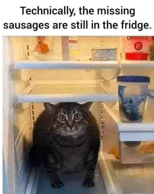 May be an image of text that says Technically, the missing sausages are still in the fridge. ORIGINAL