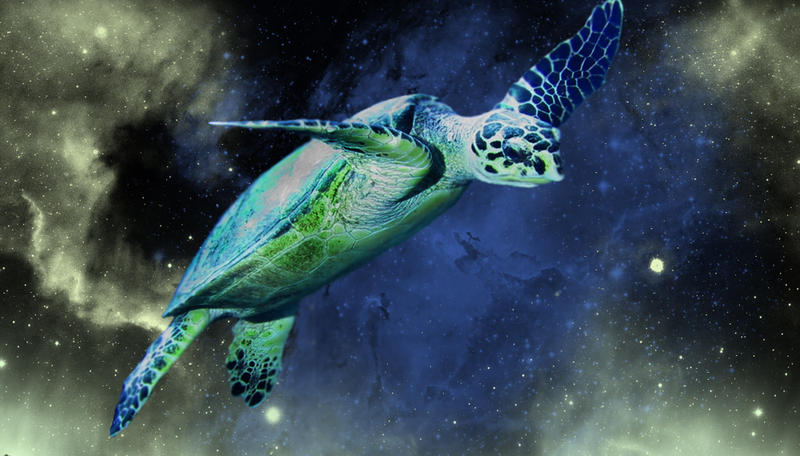 space_turtle_by_deichjensen.jpg