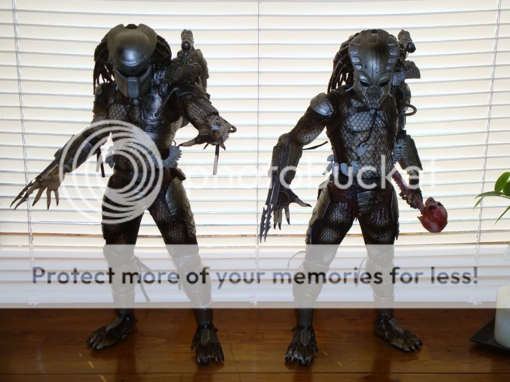 predators005.jpg