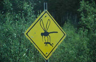 careful-mosquito-sign-dangerous.jpg
