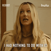 Wasnt Me Tv Show GIF by HULU