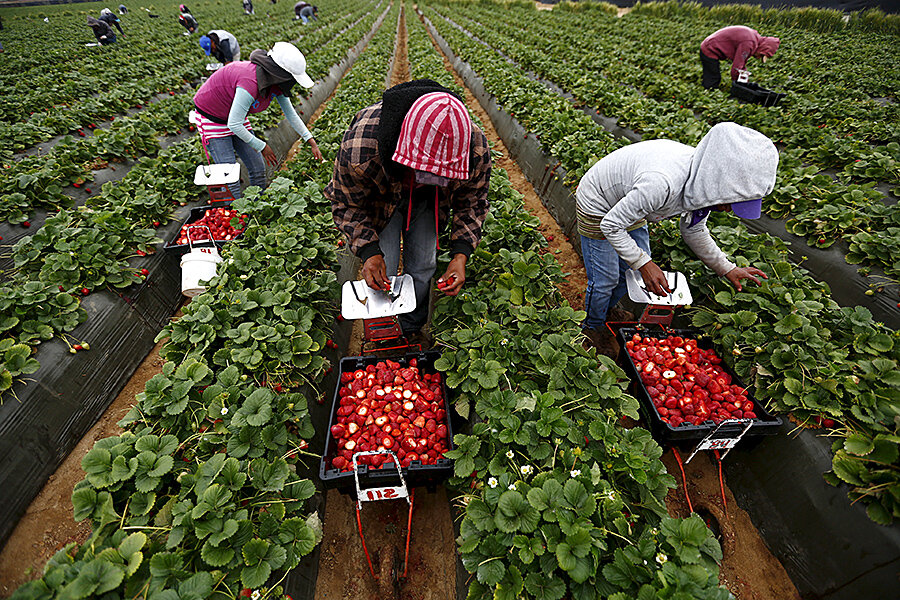 953271_4_1214-human-trafficking-mexico-field-work_standard.jpg