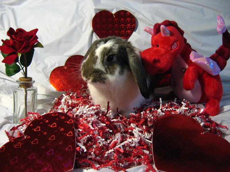 ValentineBunnies013.jpg