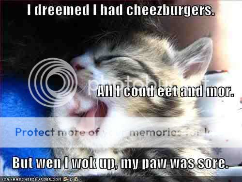 funny-pictures-kitten-dreams-of-eat.jpg