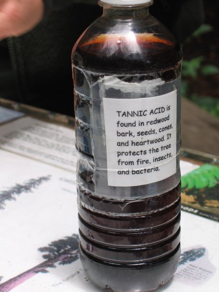450px-Bottle_of_tannic_acid.jpg