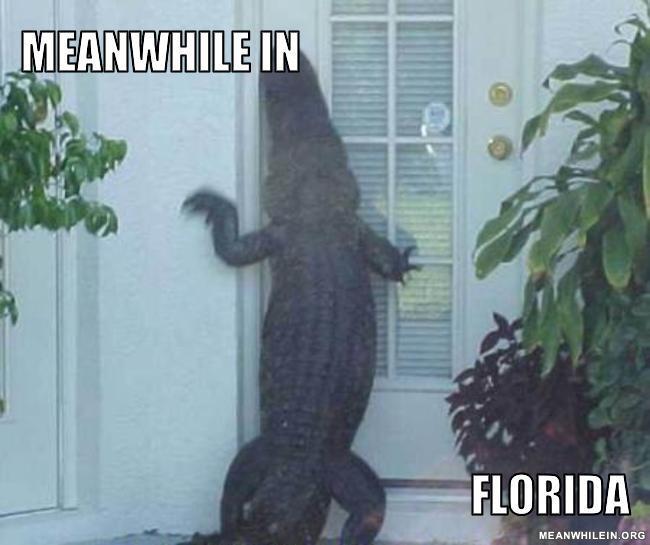 meanwhile-in-florida-2e1169.jpg