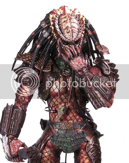 Predator-1.jpg