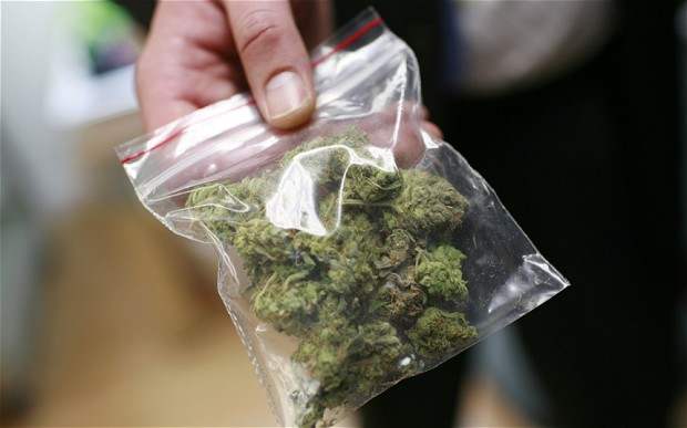 marijuana-in-bag-big-hemp-beach-tv-hbtv.jpg