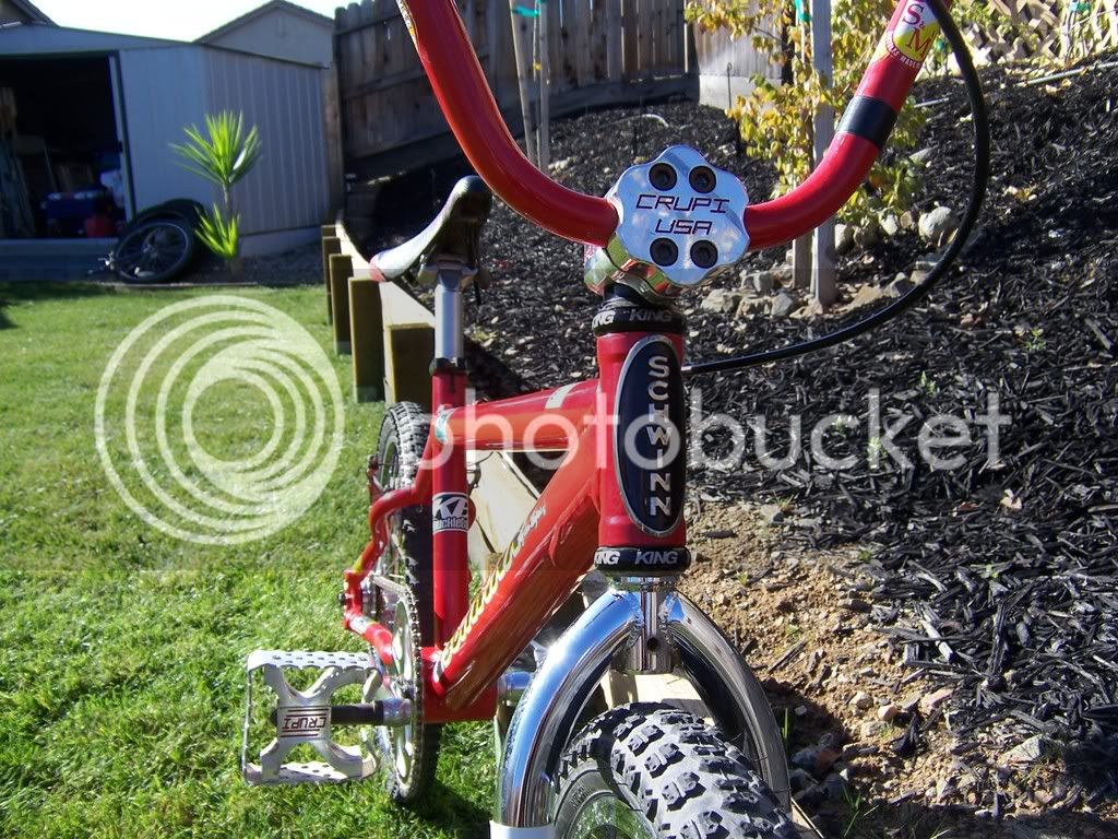 Bikes012.jpg