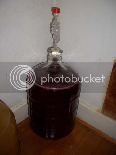 Mulberry3gal.jpg