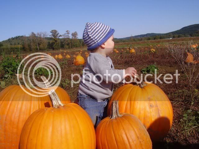 PumpkinPatch6.jpg