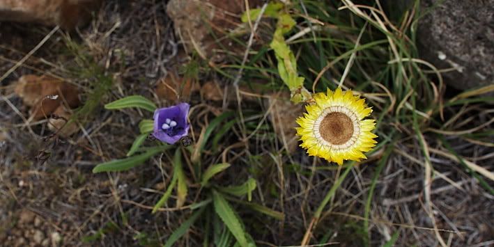 lesotho2010104.jpg