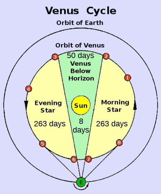 venus-cycle-annotated_john-p-pratt.png