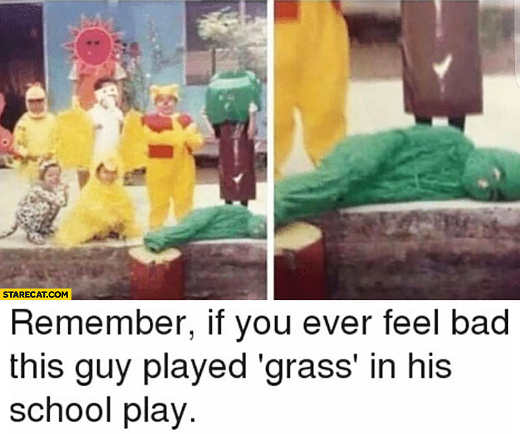 remember-if-you-ever-fell-bad-this-guy-played-grass-in-his-school-play.jpg